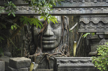 ウチの庭で、過度な