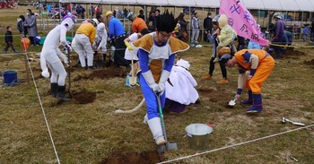 近所の林で大きな穴を