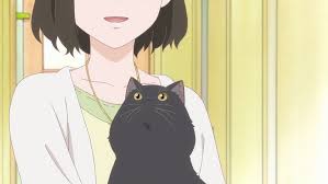 の飼い猫