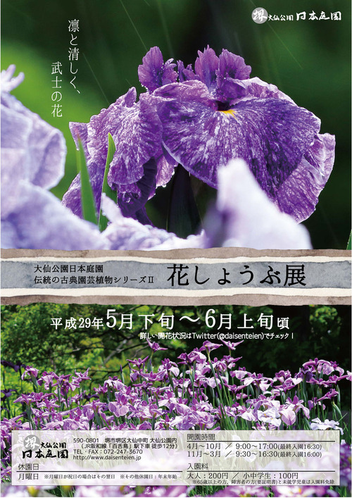 H29花菖蒲チラシおもて横1000