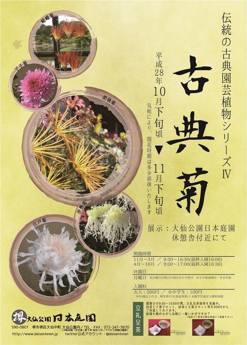 2016古典菊展チラシ表横1000