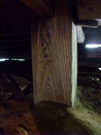 DSCF5048����