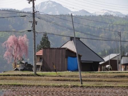 薪ストーブPJ DSC04028