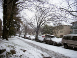 snow falling