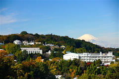161125円覚寺富士山