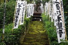 161128杉本寺階段