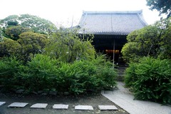 130906宝戒寺ハギ1