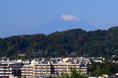 161106安国論寺富士山