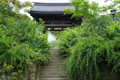 130717海蔵寺ハギ