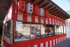 141228本覚寺2