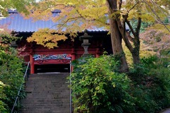 121213妙本寺紅葉1