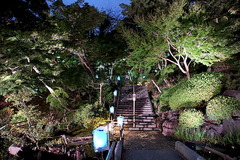 150823長谷寺の灯り3