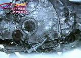 sakana
