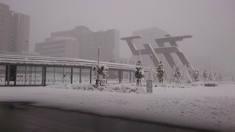 金コミ朝