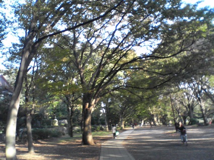 b39cb4d8.jpg