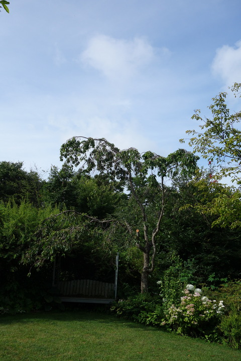 DSC03776