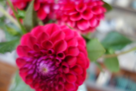 DSC03936