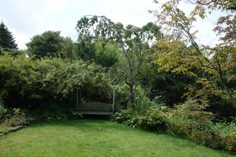 DSC03966
