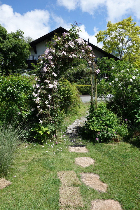 DSC03471