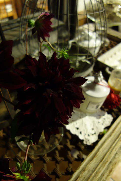DSC04004