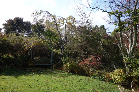 DSC04141