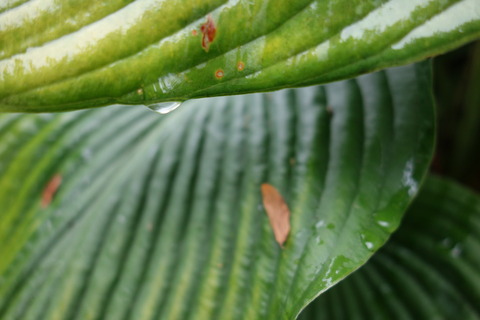 DSC03983
