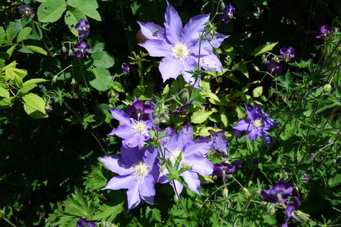 DSC03469
