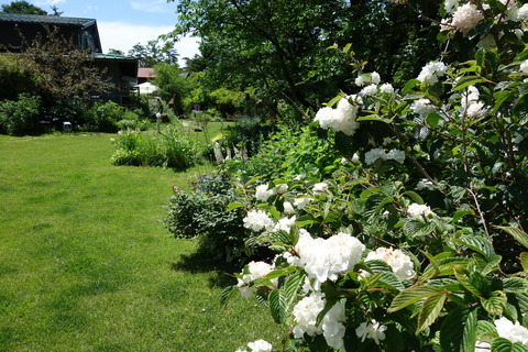 DSC03472