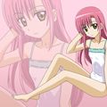 0204hinagiku_top_0041