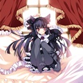 0626kemomimi_top_0101