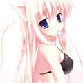 1202nekomimi_top_0001