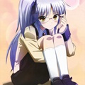 1222megane_top_0051