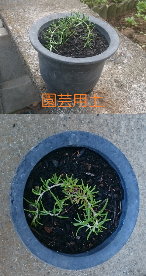 ③園芸用土