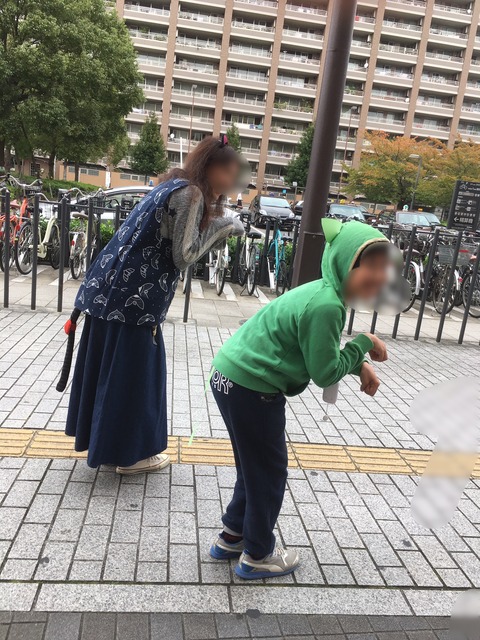 1022ねこ2ひき