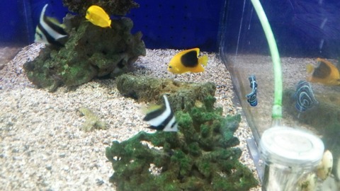 [画像:15e163e3-s.jpg]