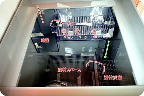 あの水槽は今 どうなっているだろうか？ | 水槽紹介 | 海水魚のパイオニア 日海センター （日海フィッシュコム）