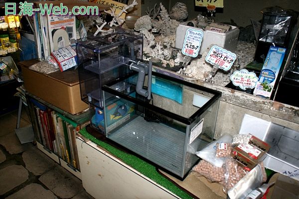 タワー型ジュニアのセット | くまぱぱのブログ