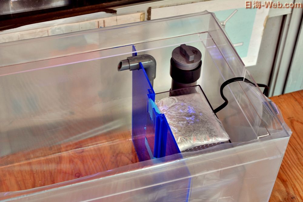 かんたん槽　水槽　日海センター　NK45 中古 海水魚用　熱帯魚用 かんたん槽 水槽 日海センター NK45 中古 海水魚用 熱帯魚用 - メルカリ