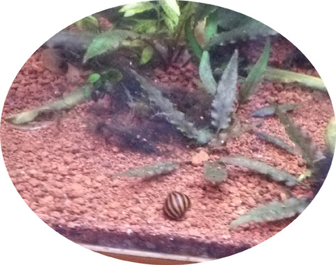 名称未設定 1のコピー