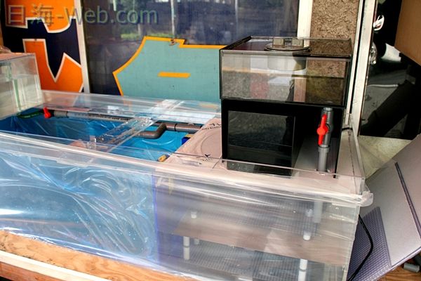 これが あの かんたん槽NK－120だ | 水槽紹介 | 海水魚の