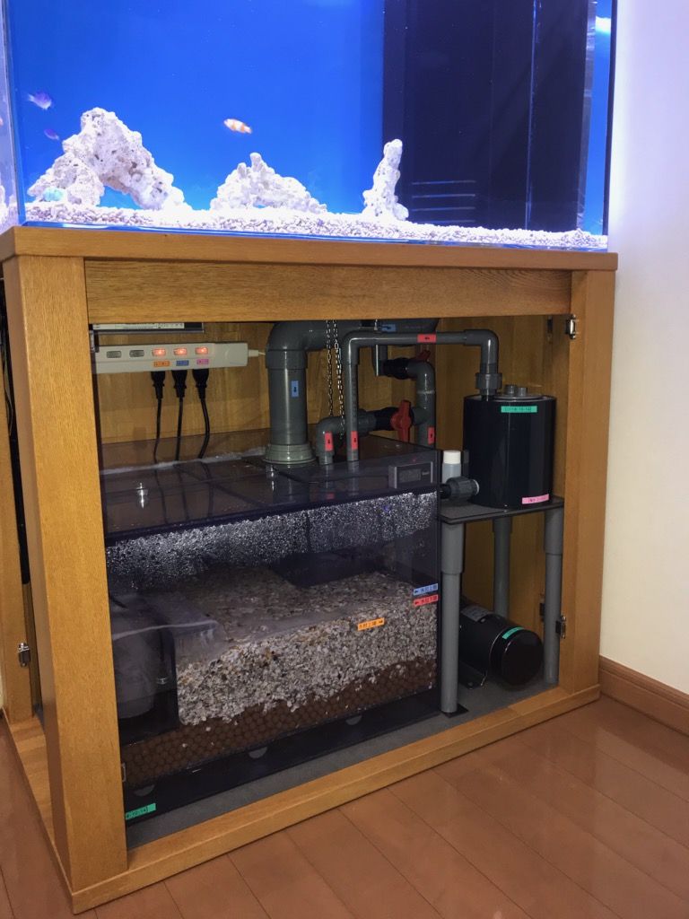 開店記念セール！ こだわりの水槽セット♪ | 日海 ニュース | 海水魚のパイオニア 海水魚用品