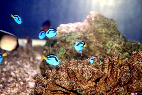 11150856_546696bd9dd12[1]