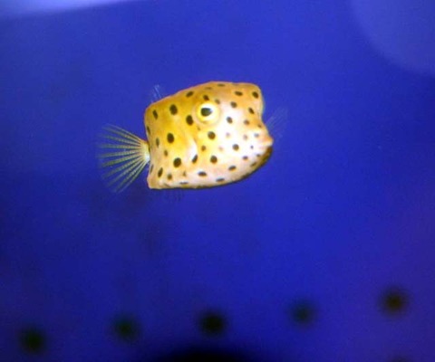 LL_IMG_9600