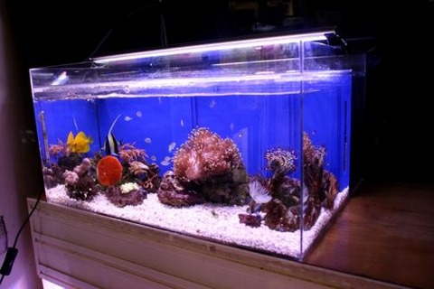 09152214_5416e6296c2f9