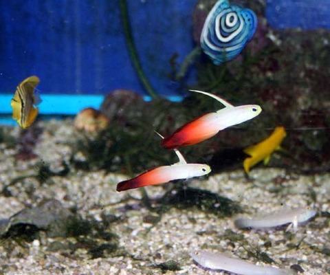 LL_IMG_4748[1]