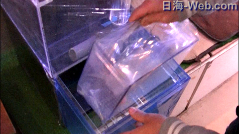 capture-20180225-215853