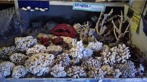 キャプチャ1