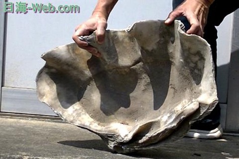 04080859_58e827e14d355[1]