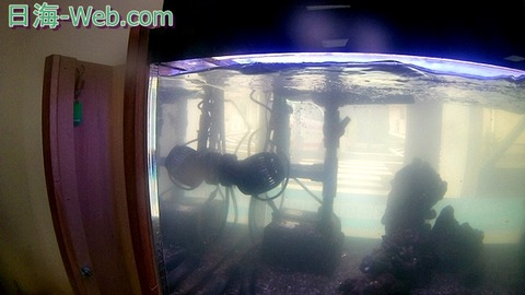 20170410_110630
