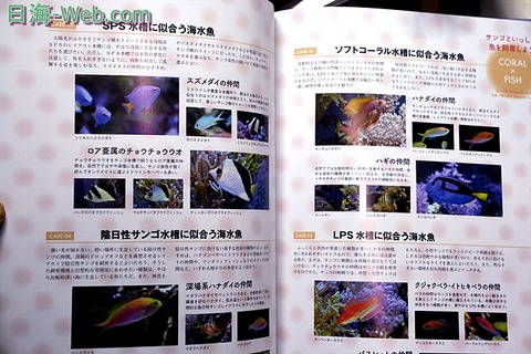 サンゴ飼育完全マニュアル2017 新発売 | 日海 ニュース | 海水魚の